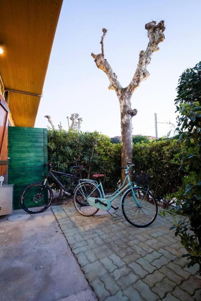 Casamare Una Casa Sulla Spiaggia Nelle Marche Villa Porto Potenza Picena Exteriör bild